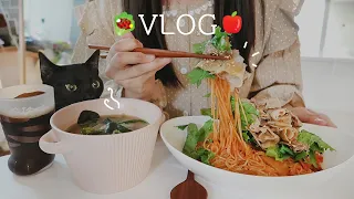 ENG) 9개월 만에 또 이사📦, 애플파이와🍎 고추잡채 만들어 먹고, 짐 정리하는 자취생 일상ㅣ사과샌드위치, 삼겹살 김밥, 과카몰리 토스트, 보쌈, 냉털 카레