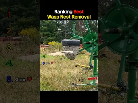 Ranking The Best Wasp Nest Removal Moments 2