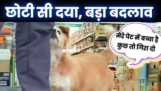छोटी सी दया, बड़ा बदलाव |  एक गर्भवती डॉगी माँ की Emotional Story 😭