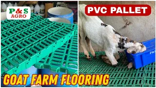 PVC Pallets Flooring for Goat Sheep Farming | ☎️9372483566 Use & Full Details Plastic Slatted Floor