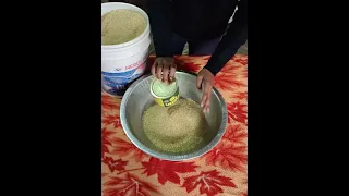शंख चावल से बाहर आता है या नहीं ✅✅
