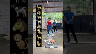 Jugando