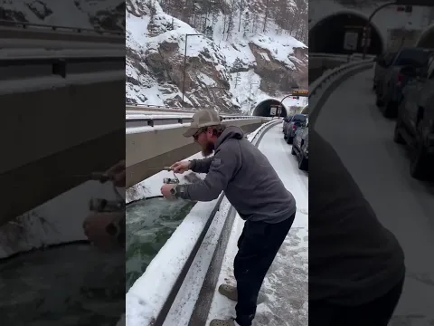 Man Catches Fish While Waiting in Traffic Jam
