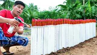 We Fly 100 rocket at Once | 100 റോക്കറ്റ് ഒരുമിച്ച് കത്തിച്ചപ്പോൾ