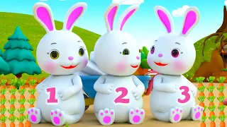 Chú Thỏ Con Remix - Nhạc Thiếu Nhi Sôi Động - Nhạc Thiếu Nhi Con Thỏ, Con Ếch Màu Sắc