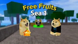Blox Fruits Animation | When Doge returns to Sea1.... P1