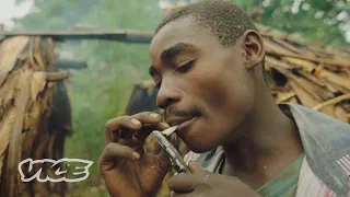 Tribus congoleñas: vendiendo marihuana para sobrevivir | WEEDIQUETTE