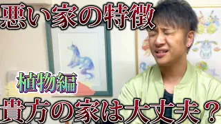【●の家には絶対住むな】霊媒師直伝！運気が悪い家&その対策　〜サボテン編〜