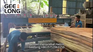 Veneer patching machine Geelong#veneerpatchingmachine#veneermachine