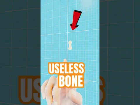 This Bone Is Completely USELESS To The Human Body