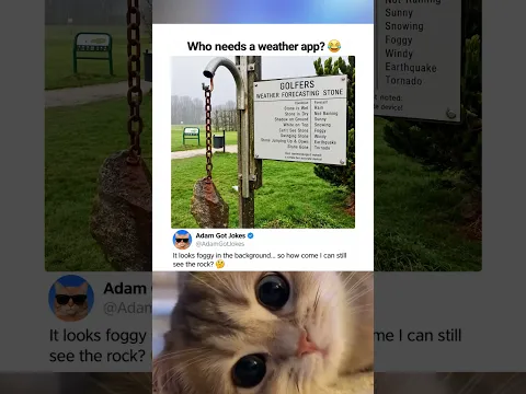 Who Needs A Weather App? 😂🪨 #filtertiktok 🏣
