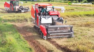 Combine Harvester Kubota DC-93 Harvesting Rice - Greet Work Safety Operator | Agricultural Machinery