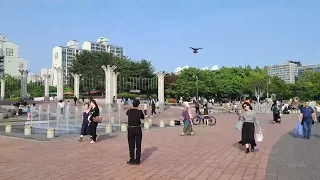 KakaoTalk 20250507 141420517