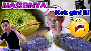 UPDATE BARCA KERJAAN BANG FISH & FAJAR ARIEF !!! BARCA SUPER HIGHFIN dan SIAP FLARING