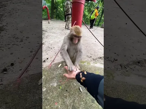 The Reward of Kindness