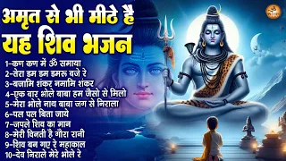 घर को अमृत बना देंगे यह शिव भजन | Shiv Shankar Ji Ke Bhajan | भोले बाबा के भजन | Mahadev Bhajan
