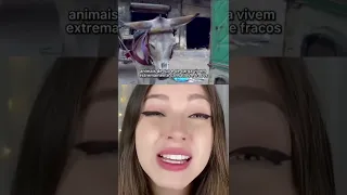 A CIDADE MAIS POLUÍDA DO MUNDO