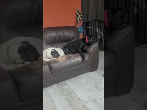 Nap time at the daycare centre