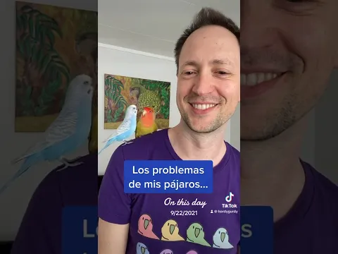 Los problemas de mis pájaros…