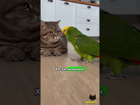 Когда попугай перегнул… и сам стал грустным 😢🐦🐈