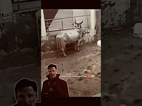 माँ की ममता ☺️के लिए एक comment 🙏🥺 #cow #shorts