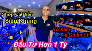 Shop Cá Biển Siêu Khủng | Trải Nghiệm Mới Về Thuỷ Sinh Biển | Rin Aquarium | beautiful sea fish shop