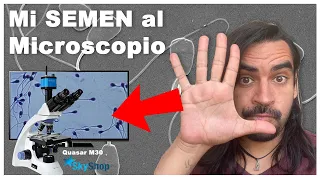 Mis Espermatozoides al Microscopio 🔬 con SkyShop MX