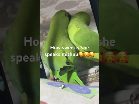 How cute she speak mithuu🥰🥰🥰 #youtubeshorts #humanity #respect #shorts #viral