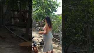 En la casita de los pollos 