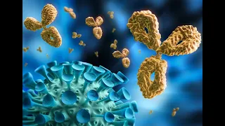 Antibody dependant enhancement எனும் பக்கவிளைவு! இது என்ன என்பதை தெரிந்துகொள்ளுங்கள்.