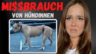 Hundezucht: So EKELH4FT werden Hündinnen MI$$BR4UCHT!!!