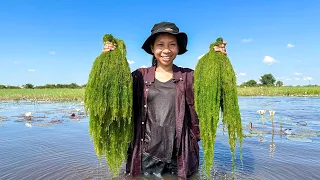 មកដកសារ៉ាយក្រឹបហូប ជាមួយបុ.កម្ទេស Chhom Sreypach - ឆម ស្រីផាច