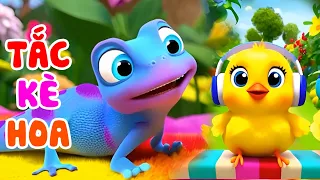 Chú Tắc Kè Hoa - Nhạc Thiếu Nhi Vui Nhộn Cho Bé Thư Giãn - Hoạt Hình Tắc Kè Hoa