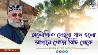 অলৌকিক খেজুর গাছ হলো আগুনে পোড়া বিচি থেকে - মাকারিম- ২৮২
