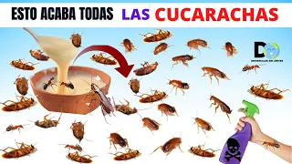 Pon Esto en Tu casa, 1 hora después NO Verás Cucarachas | insecticida Casero