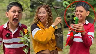 EL ARBOL DE CHETOS | Los mejores videos de Adriano Reflexiones