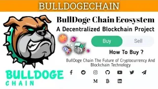 Bull doge new decentralised block chain project full review nft project 2022