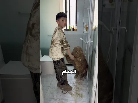حمَّم كلبه كالملوك! 😲