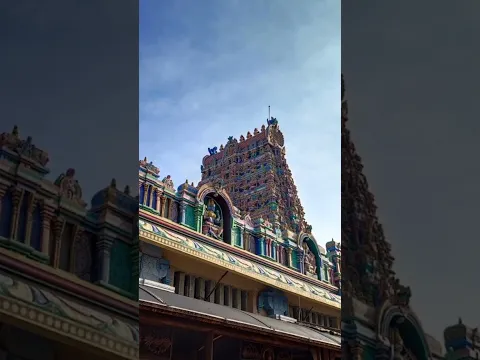 உலக நன்மைக்காக பச்சைப் பட்டினி விரதம் இருக்கும் சமயபுரம் மாரியம்மன்