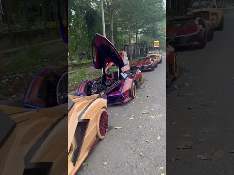 It took me 3 years to build this supercar collection! #homemade #shots