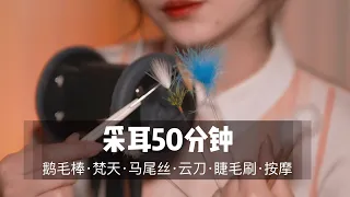 ASMR 睡不着建议反复观看！50分钟超长“舒爽”掏耳体验，超“刺激”颅内体验|掏耳|采耳|3D|助眠|哄睡