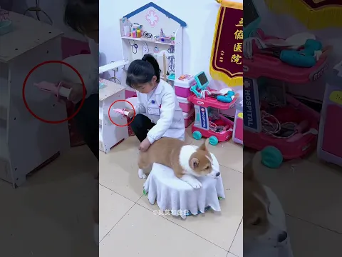 Smart Dog Helped Owner be Doctor😊
