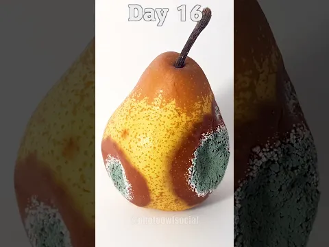 Pear Time Lapse #shorts