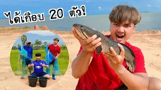 ทอดแหเอ็นกับพ่อ หนัก 6 โล ได้ตัวใหญ่! @มิสเตอร์แมน @moomheejudhai4748 #ฝากติดตาม #ช่องยูทูป #นนท์ทาจิ