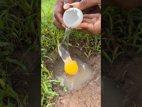 Survival skills SMART and idea Useful in forest #camping #outdoors #survival #skills #crab