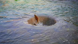 Swirl Fishing / Whirlpool / Girdap Metodu İle Balık Avı / İnanılmaz