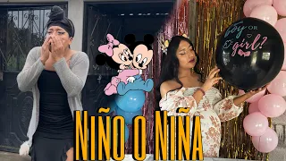 Mi baby Shower (Niño💙o Niña🩷)