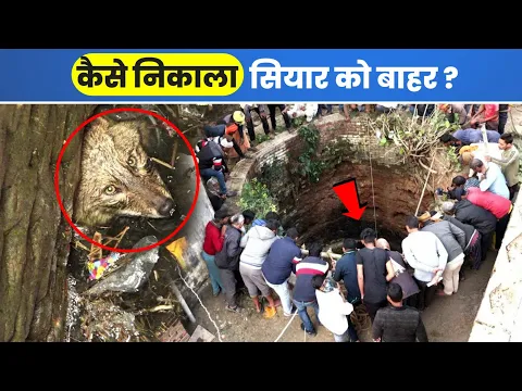 70 फीट गहरे कुएं में, खूंखार जानवर का रेस्क्यू कैसे किया! 😱 | Dangerous Animal Rescue | #shorts