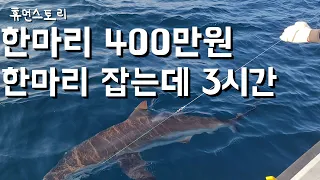 직장 관두고 바다로 귀어해 낚시로 매출 월1000만원 선장님