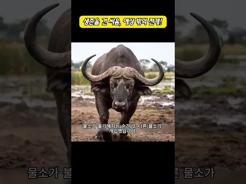 생존을 건 싸움, 예상 밖의 전개!
